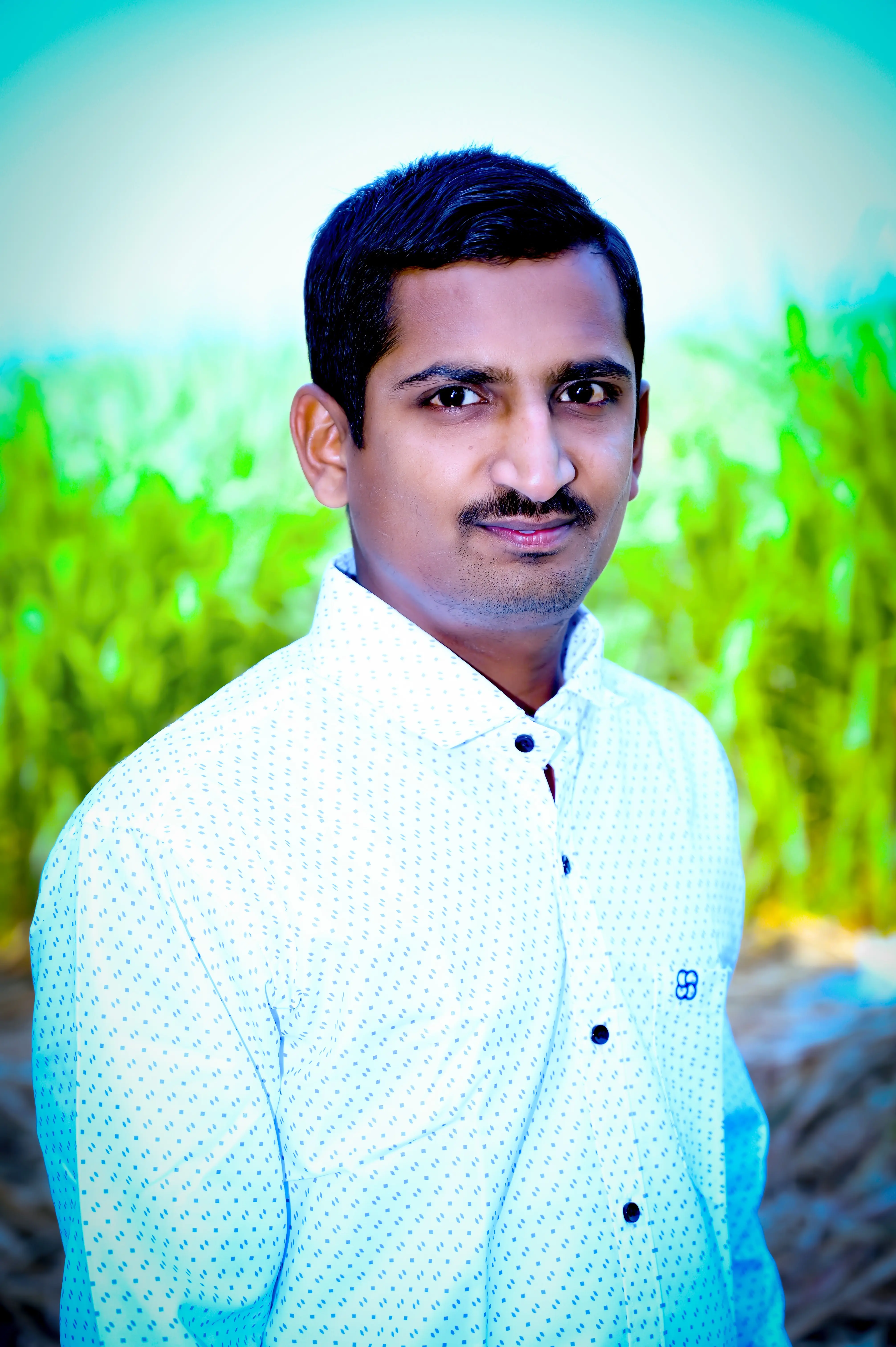Groom Profile